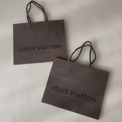 LOUIS VUITTON ショッピングバッグ ２個セット
