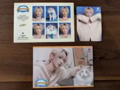 MAZZEL MOMENT BOX NAOYA