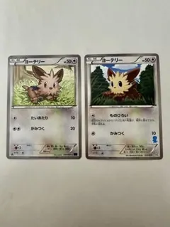 ヨーテリー ポケモンカード 2枚セット