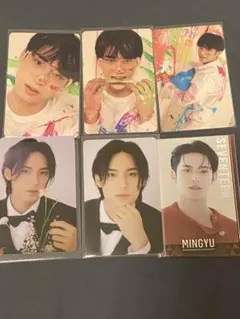 SEVENTEEN セブチ ミンギュ トレカ FML