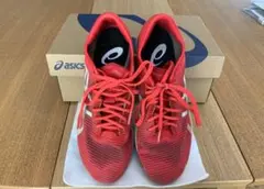 Item thumbnail for item 2e6999aa-9684-4929-babc-3ce6a281ec21