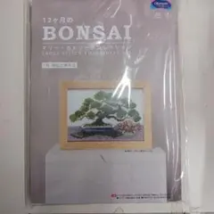 値下げしました！12ヶ月のBONSAI クロスステッチ刺繍キット1月錦松と寒木瓜