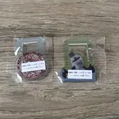 パペットスンスン アクリルカラビナ スンスン ノンノン ゾンゾン 2点セット