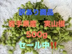 coffeedaiski様専用クール便！青森県産実山椒☆採れたて300g+増量中
