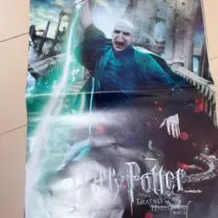 ハリー・ポッター ポスター ヴォルデモート