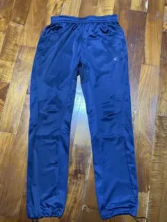 Item thumbnail for item 363193f4-8760-4645-b060-7981d9b40f37