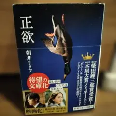 正欲