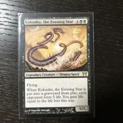 2025年最新】夜の星、黒瘴の人気アイテム - メルカリ