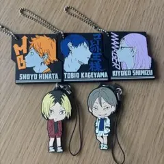 ハイキュー!!ラバストセット