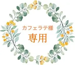 カフェラテ様 リクエスト 2点 まとめ商品