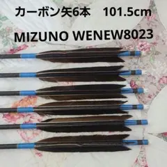 高性能カーボン矢6本　101.5cm　MIZUNO WENEW8023