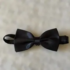 Item thumbnail for item 52e61223-3d08-4f50-acc2-ae8c9fb30ac6