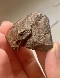 アメリカの草食恐竜の巨大な糞化石　/ティラノサウルス　トリケラトプス　自由研究 アメリカの草食恐竜の巨大な糞化石 /ティラノサウルス トリケラトプス