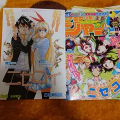 Item thumbnail for item ef8744c2-624c-4f68-8835-76a0c800b25b