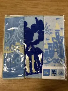 ディズニー　バケーションパッケージ　ハンドタオル