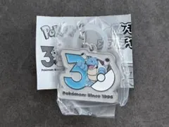 ポケモン 30周年 カメックス メタルチャーム