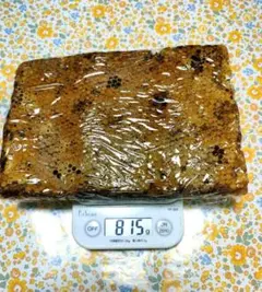 年末特価20%OFF 11月採取した日本ミツバチの希少な巣蜜です。