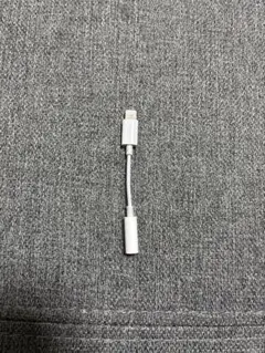 Apple純正：lightning変換アダプタ ライトニング ケーブル