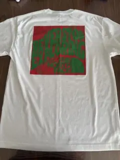 THE NORTH FACE グラフィックTシャツ※値下げしました