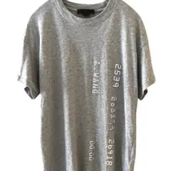 アレキサンダーワン wang T 半袖 y2k グレー シルバーのサムネイル