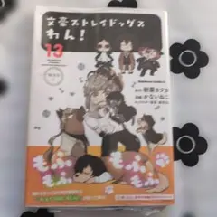 文豪ストレイドッグス わん! (13)