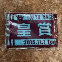 応援フェイスタオル スティンガーグラス 宝塚記念 出走阪神競馬場現地 