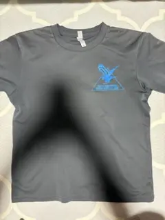 Item thumbnail for item 9df6df5b-0c25-45f3-9efc-8fc2f9c2d74b