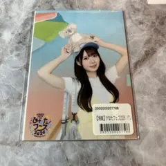 日向坂46 ひなたフェス2026 生写真 坂井新奈 - メルカリ
