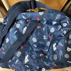 Item thumbnail for item 73228e1c-b91b-481d-9016-f68d7fdf58b8