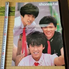 少年隊 ポスター 12枚セット 2025年最新】少年隊 ポスターの人気アイテム - メルカリ