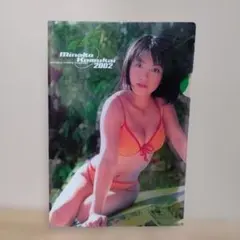 小向美奈子 クリアファイル 2002