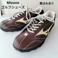 24.5cm Mizuno ゴルフシューズ 3Eライトスタイル LS009のサムネイル