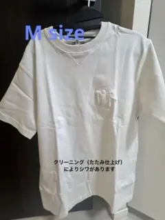 Dior x Stussy Tee ディオール ステューシー Tシャツ ホワイトのサムネイル