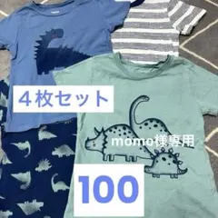 綿100% コストコ 恐竜プリント Tシャツ 100cm ４枚組のサムネイル