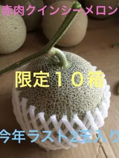 赤肉クインシーメロン4.5玉入り限定10箱 - メルカリ