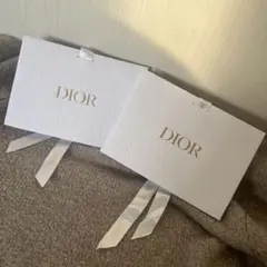 Dior ディオール ギフト袋 2枚セット