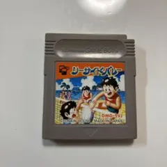 ゲームボーイソフト シーサイドバレー