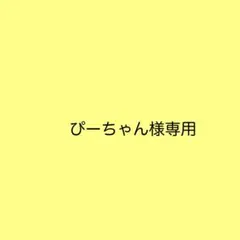 ぴーちゃん様専用