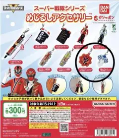 スーパー戦隊 めじるしアクセサリー ドンブラザーズ セット