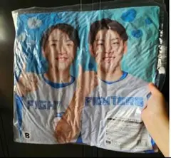 北海道日本ハムファイターズ 推しペアクッション 郡司裕也 野村佑希