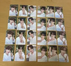 tws はじめまして ユニバ フォトカードセット 24枚まとめ売り