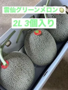雲仙グリーンメロン 2Lサイズ 3個入りのサムネイル