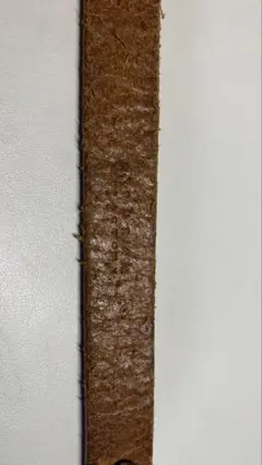 Item thumbnail for item 5faefb5d-93c7-4bc9-9083-b2ead0f30165