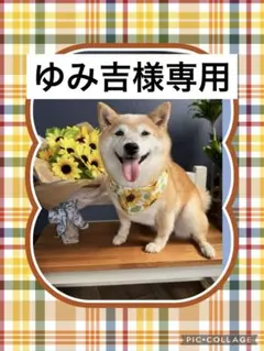 ゆみ吉様専用　4重ガーゼハンカチ　レア　黒猫　猫柄生地