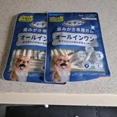 チューデント歯みがき専用ガムオールインワンのサムネイル