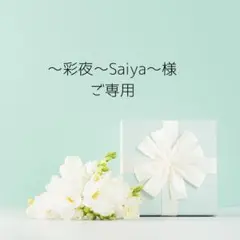 ～彩夜～Saiya～様 リクエスト 4点 まとめ商品