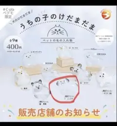 c*＊様 うちの子のけだまだま　ミックス　限定