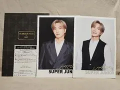 SUPER JUNIOR トレカ LEETEUK イトゥク 20周年 グッズ SUPER JUNIOR トレカ LEETEUK イトゥク 20周年 グッズ - メルカリ