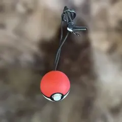 ポケットモンスターレッツゴーピカチュウ&イーブイ　モンスターボールプラス