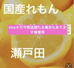 mia＊只今発送遅れる場合もあります様専用レモン